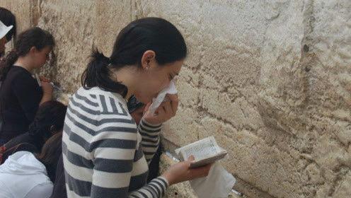 娱乐吃瓜君白鹿